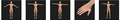 Thumbnail for version as of 23:39, 20 August 2020