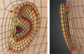 Thumbnail for version as of 20:44, 27 June 2021