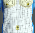 Thumbnail for version as of 23:04, 16 August 2020