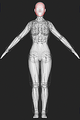 Thumbnail for version as of 20:36, 17 August 2020