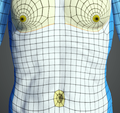 Thumbnail for version as of 23:04, 16 August 2020