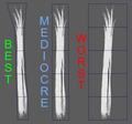 Thumbnail for version as of 02:17, 13 April 2021