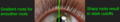 Thumbnail for version as of 20:04, 4 November 2025