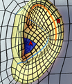 Thumbnail for version as of 19:07, 16 August 2020