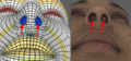 Thumbnail for version as of 18:41, 27 June 2021