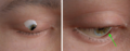 Thumbnail for version as of 03:32, 7 October 2025