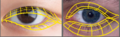 Thumbnail for version as of 20:04, 4 November 2025