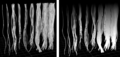 Thumbnail for version as of 18:56, 6 April 2021