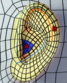 Thumbnail for version as of 19:56, 16 August 2020